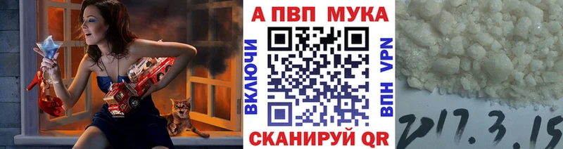 блэк спрут ссылка  Разумное  A PVP СК 