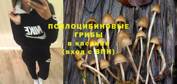 дживик Нефтекумск