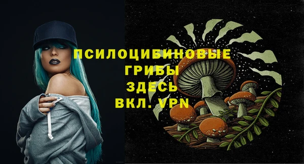 прущий лед Нефтегорск