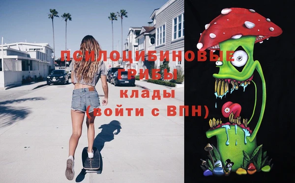 дживик Нефтекумск