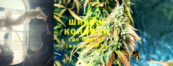 ПСИЛОЦИБИНОВЫЕ ГРИБЫ Нея