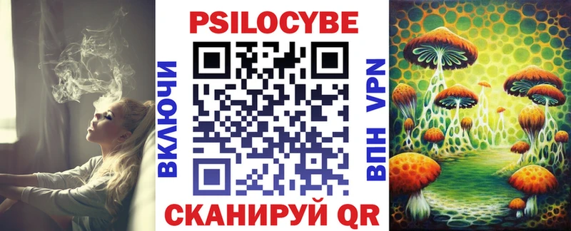 дарнет шоп  Разумное  Галлюциногенные грибы Cubensis 