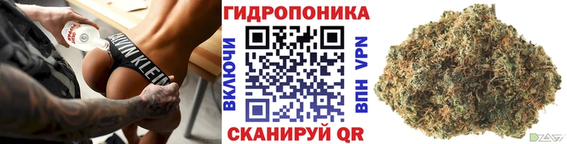 Каннабис SATIVA & INDICA  Разумное 